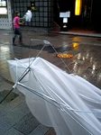 台風のお約束